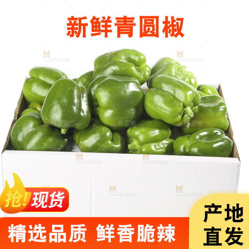 白底上的青圆椒
