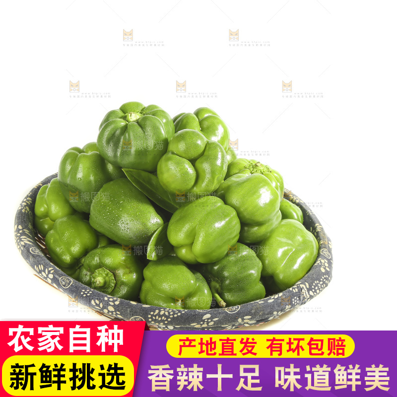 白底上的青圆椒