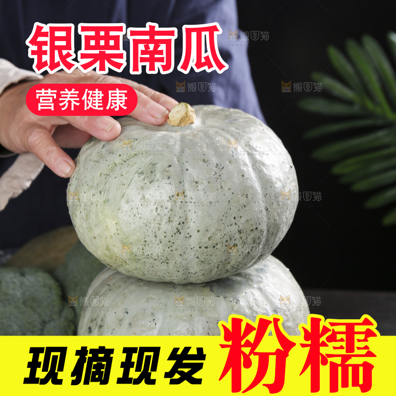 深底上的银栗南瓜