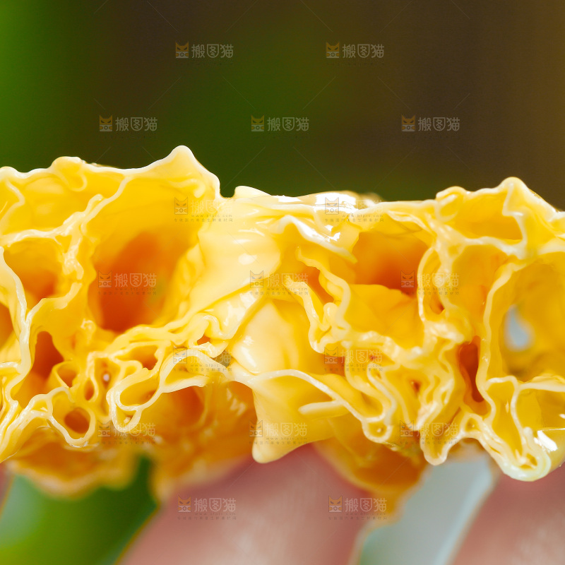 手里拿着腐竹
