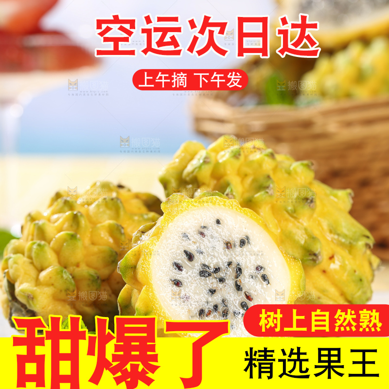 浅底上的燕窝果