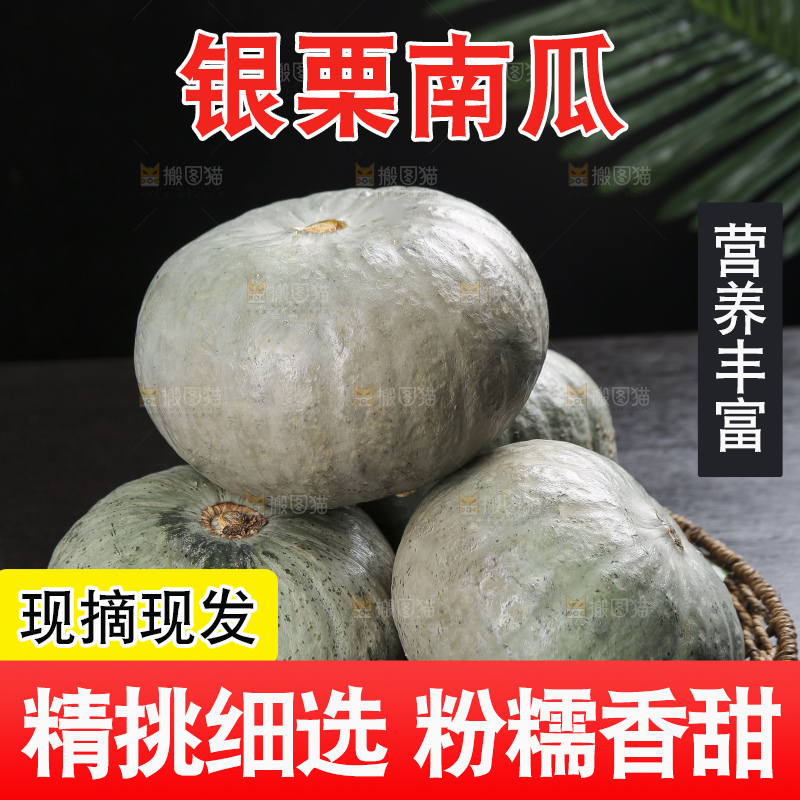 深底上的银栗南瓜