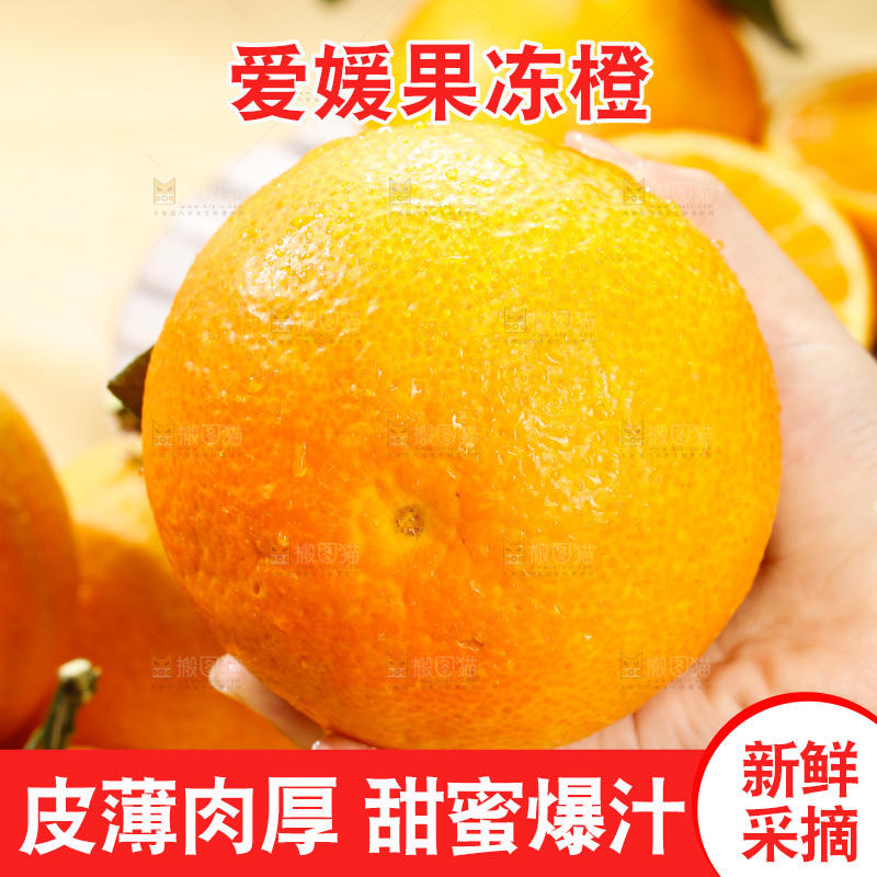 浅底上的爱媛果冻橙