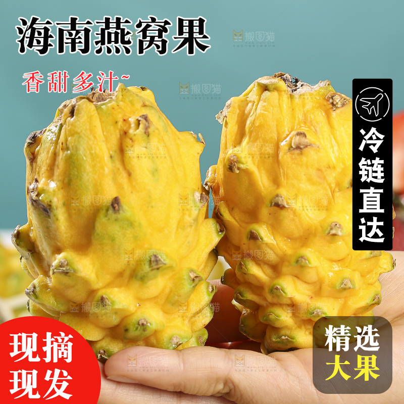 浅底上的燕窝果