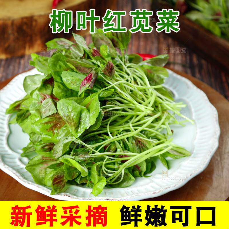 深底上的新鲜苋菜