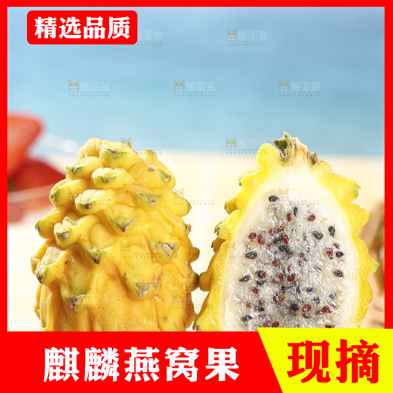 浅底上的燕窝果