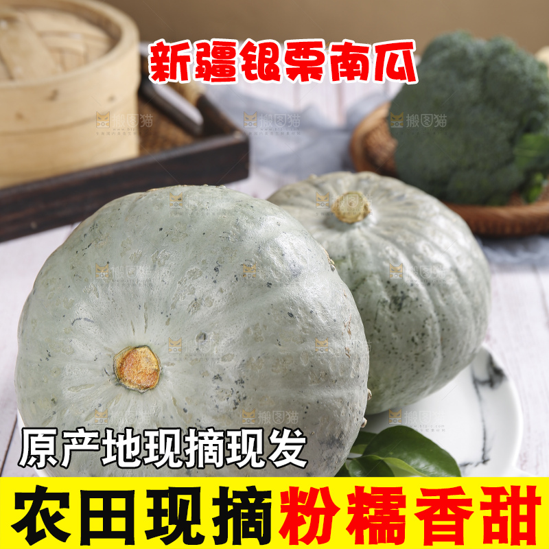 浅底上的银栗南瓜