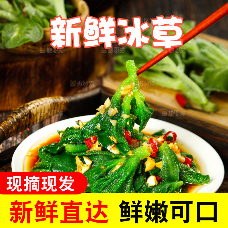 深底上的冰草