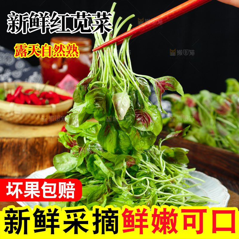深底上的新鲜苋菜