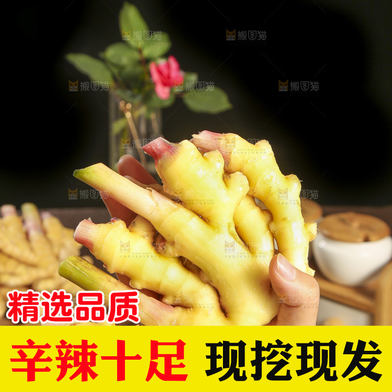 深底上的小黄姜