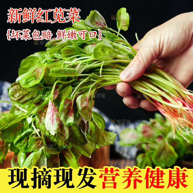 深底上的新鲜苋菜
