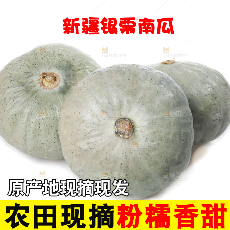 白底上的银栗南瓜