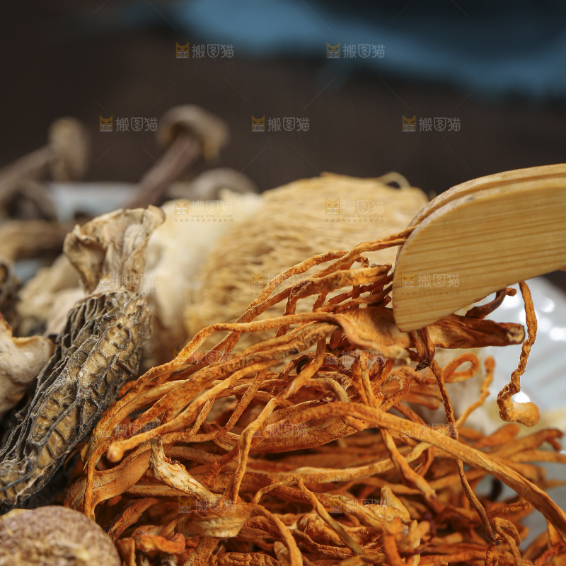 木底上的菌菇汤
