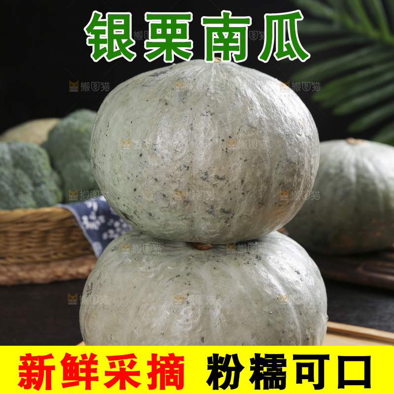 深底上的银栗南瓜