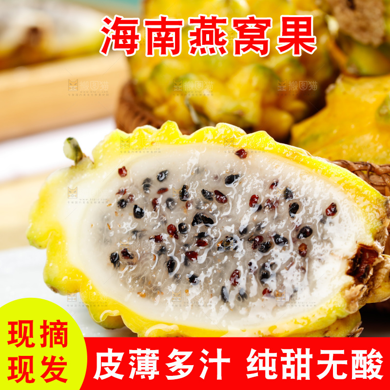 浅底上的燕窝果