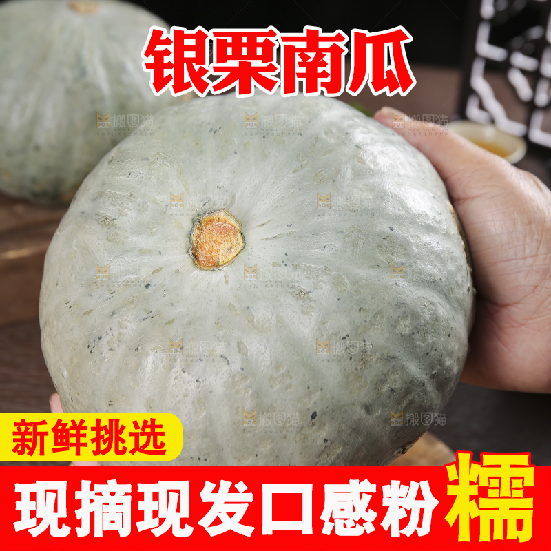 深底上的银栗南瓜