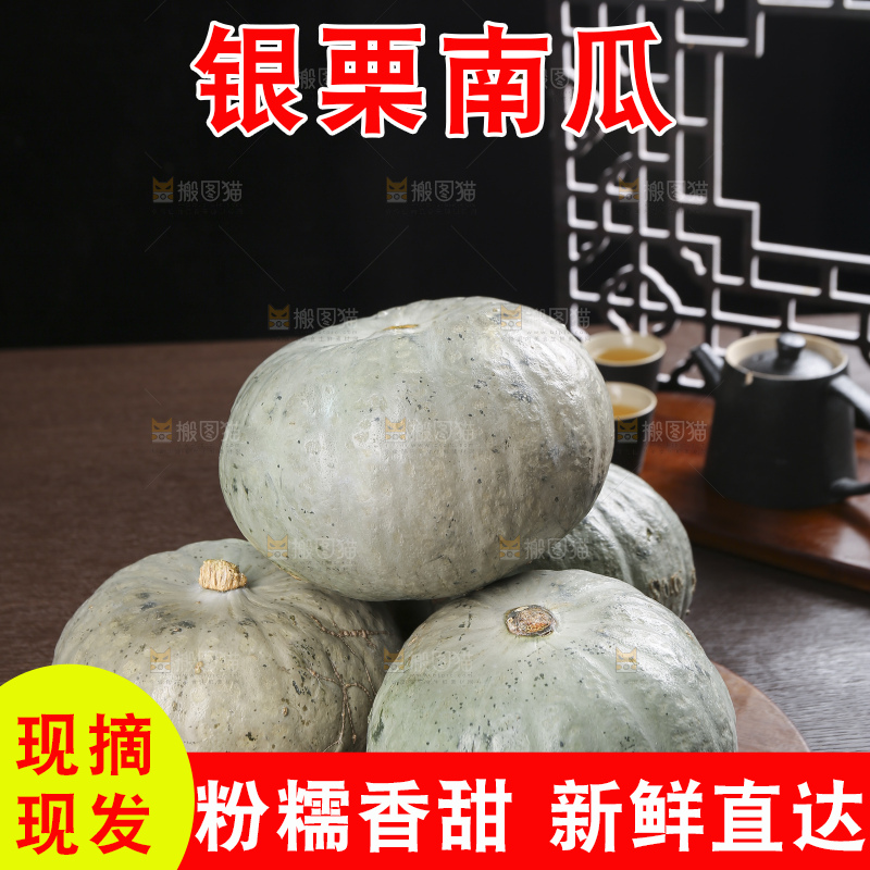 深底上的银栗南瓜