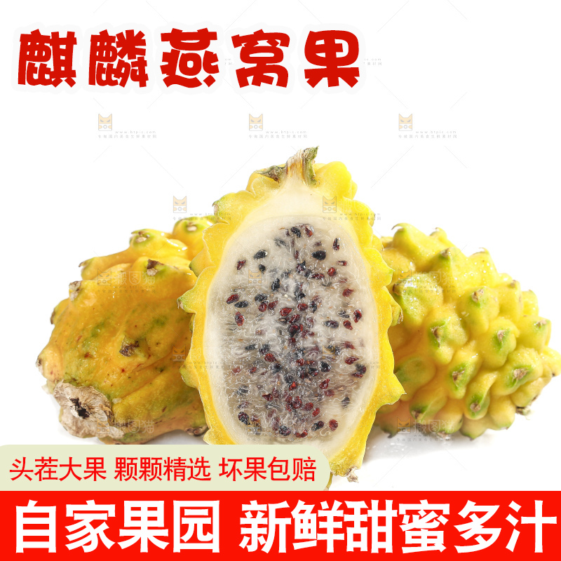 白底上的燕窝果
