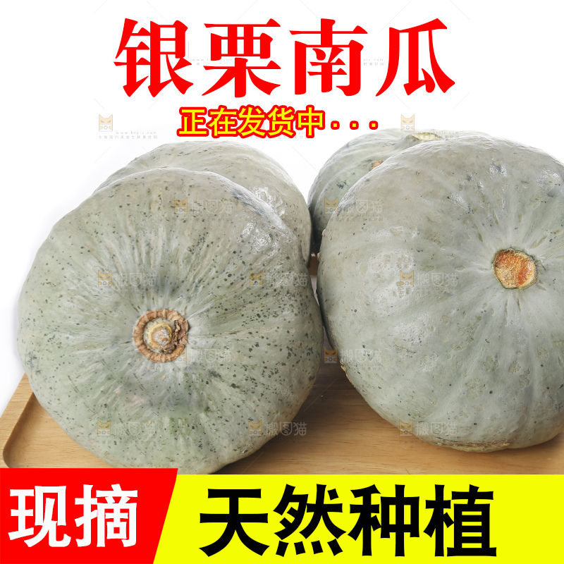 白底上的银栗南瓜