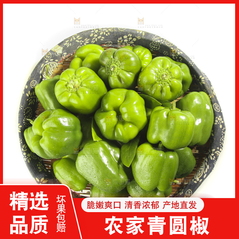 白底上的青圆椒
