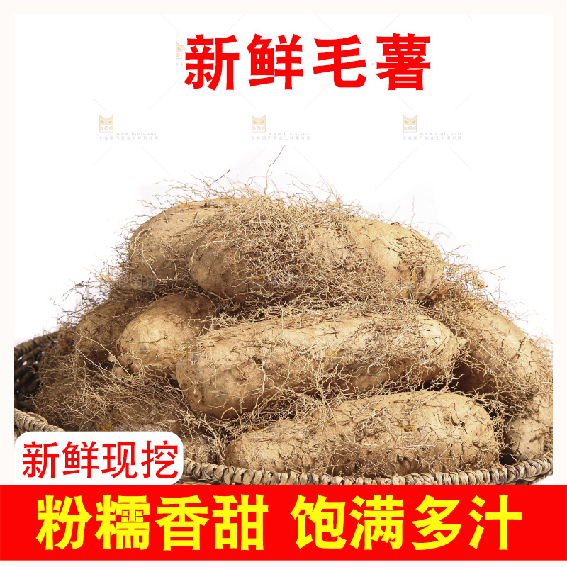 白底上的新鲜毛薯