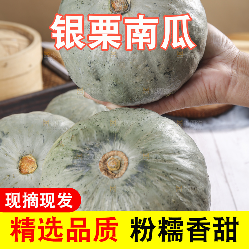浅底上的银栗南瓜