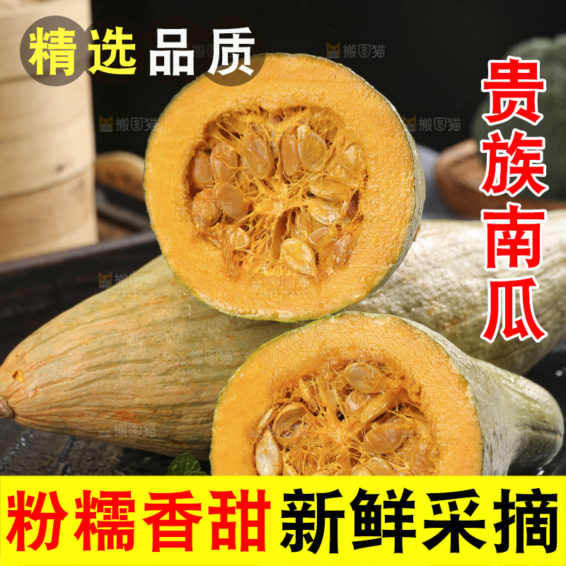 深底上的贵族南瓜