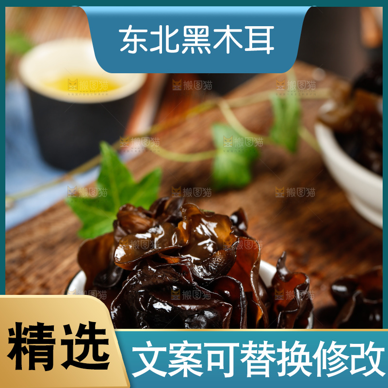 木底上的野生木耳