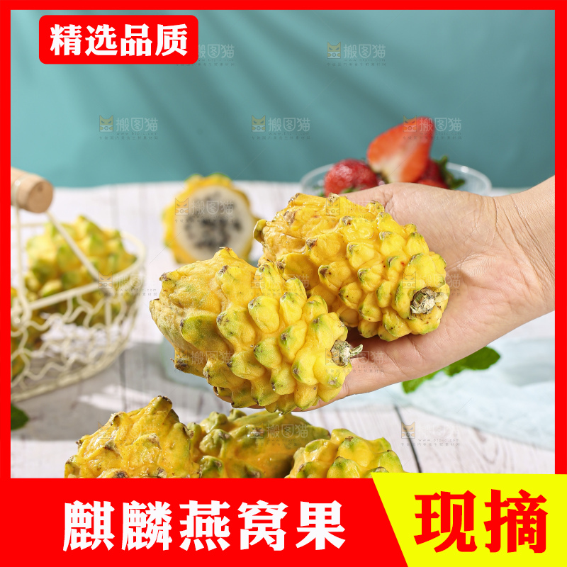 浅底上的燕窝果