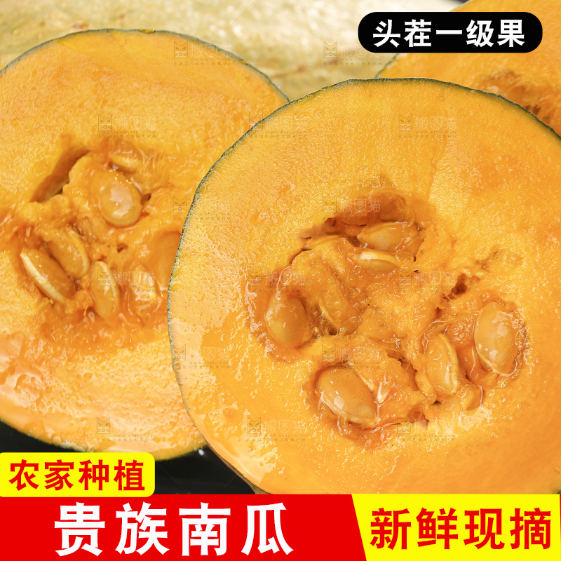 深底上的贵族南瓜