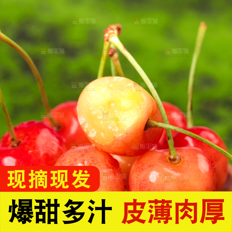 草地上的黄蜜樱桃