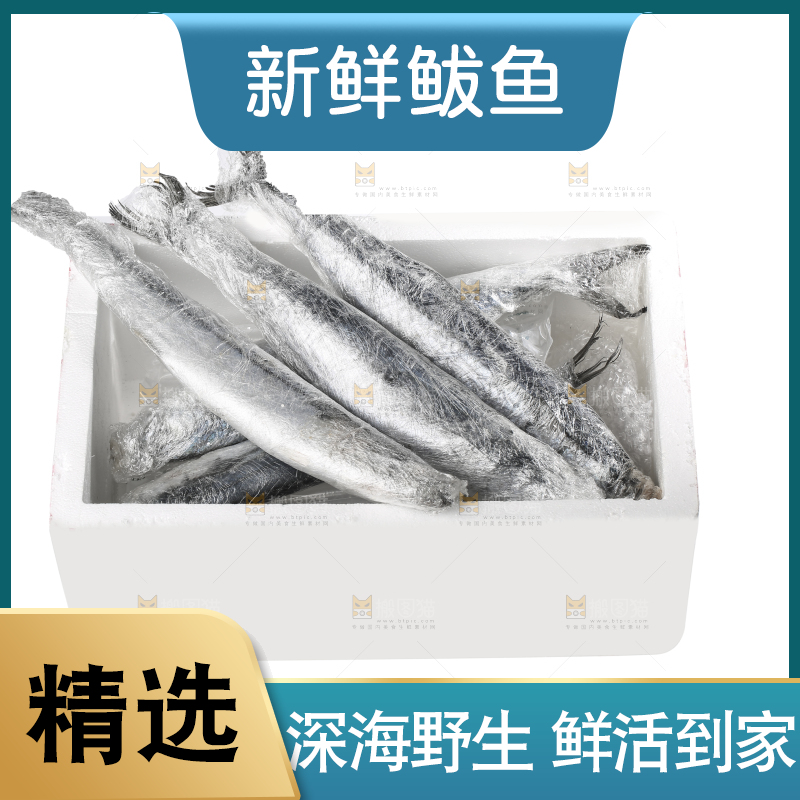 白底上的新鲜鲅鱼