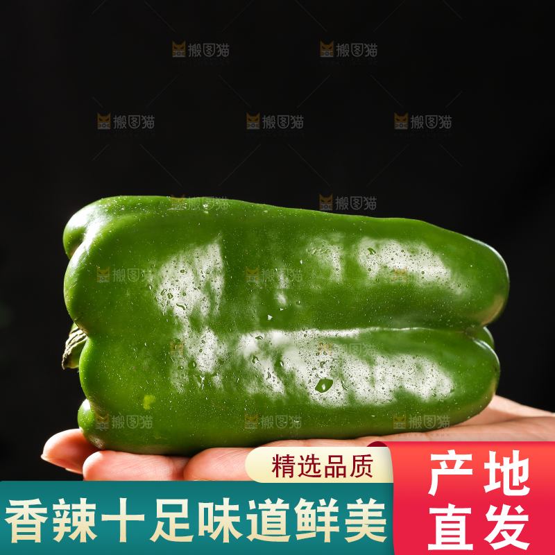 青圆椒主图