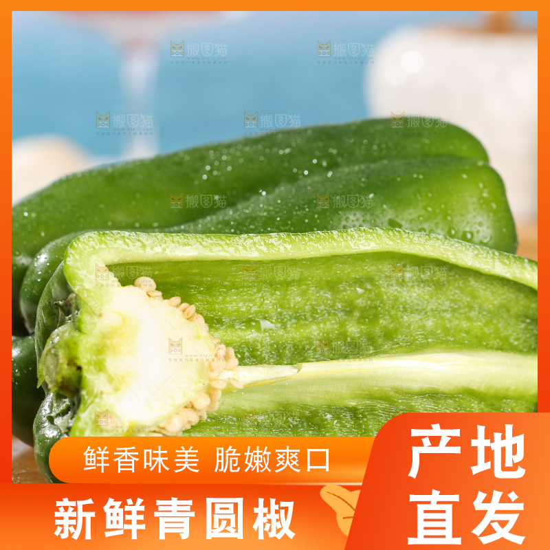 浅底上的青圆椒