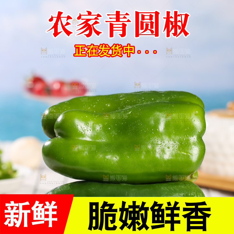 浅底上的青圆椒