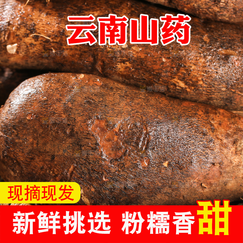 浅底上的云南山药