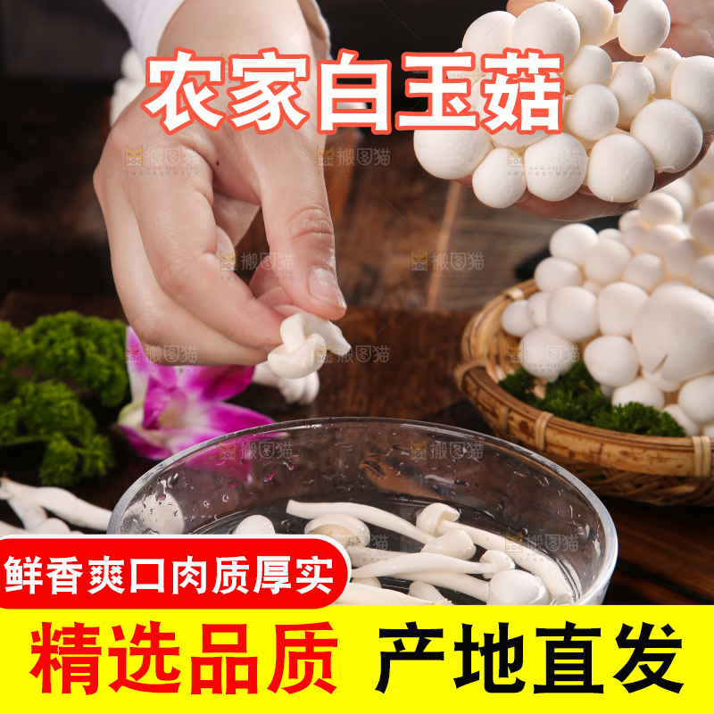 深底上的白玉菇