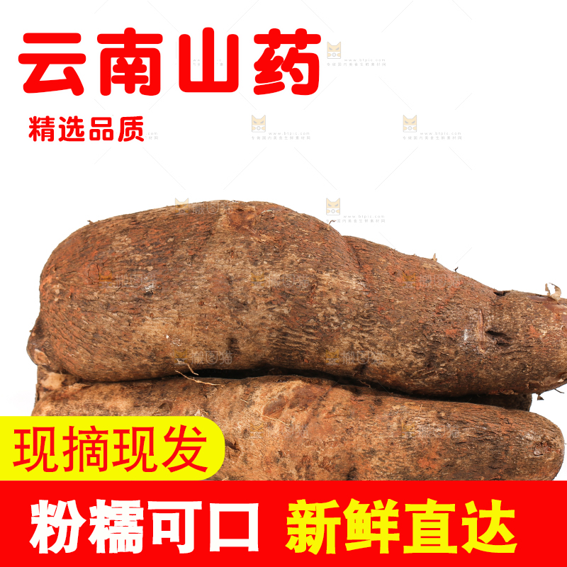 白底上的云南山药