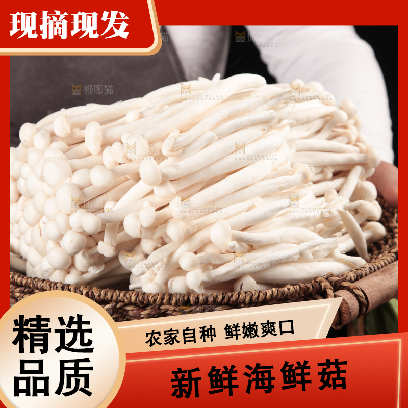 深底上的海鲜菇