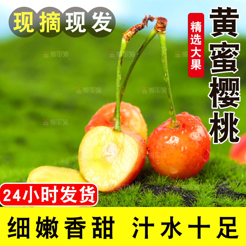 草地上的黄蜜樱桃