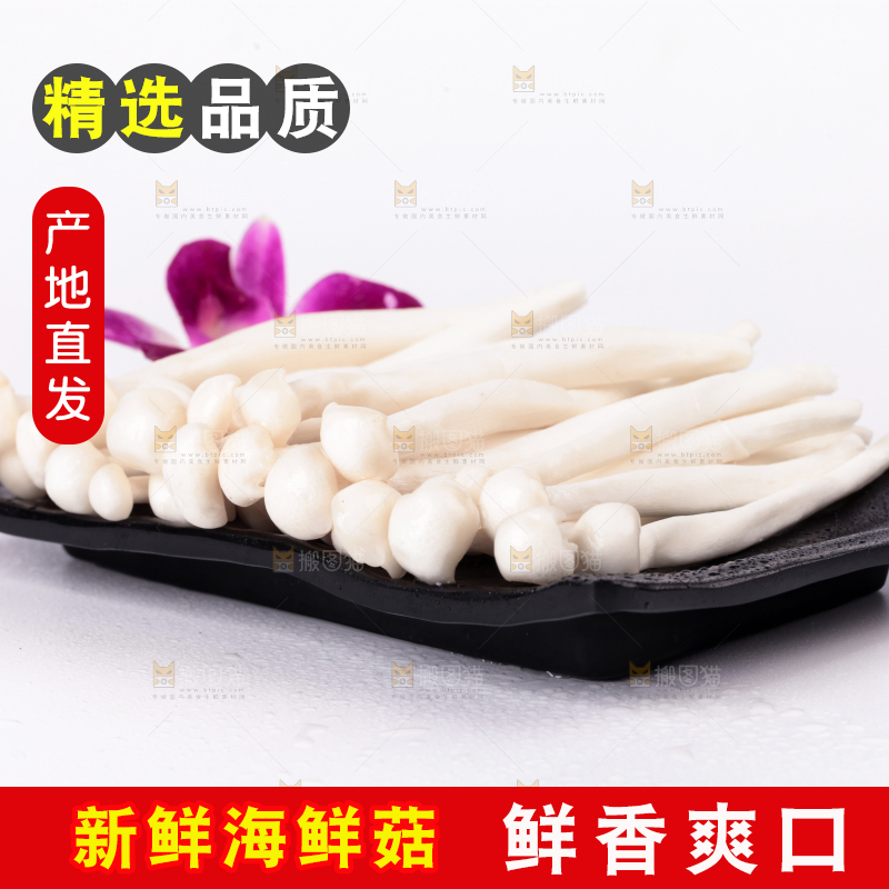 白底上的海鲜菇