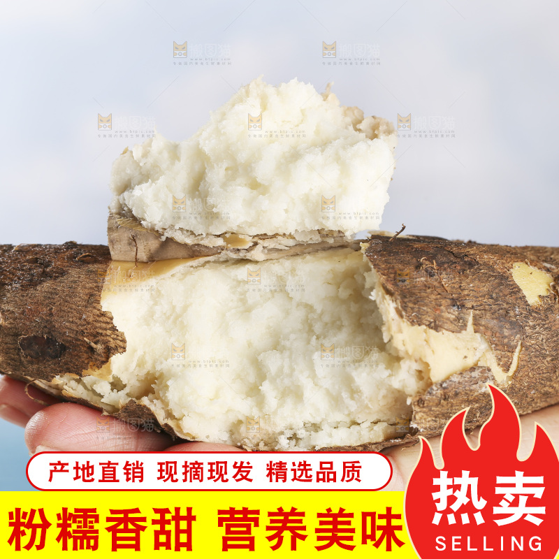 浅底上的云南山药