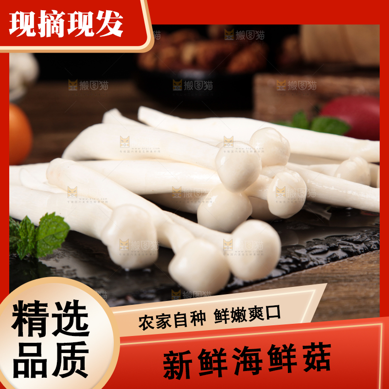 深底上的海鲜菇