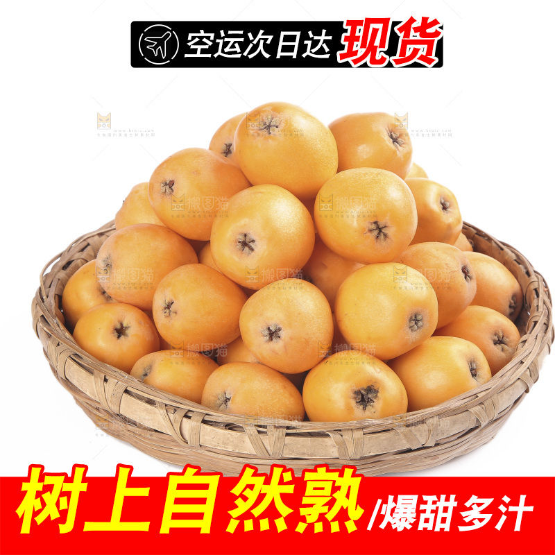 白底上放着一篮米易枇杷