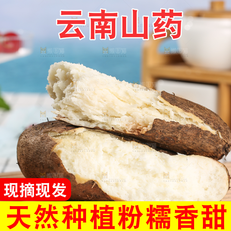 浅底上的云南山药