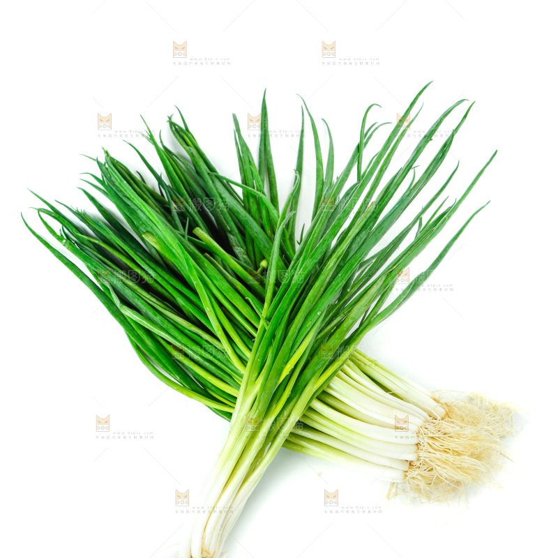 白底上的小葱
