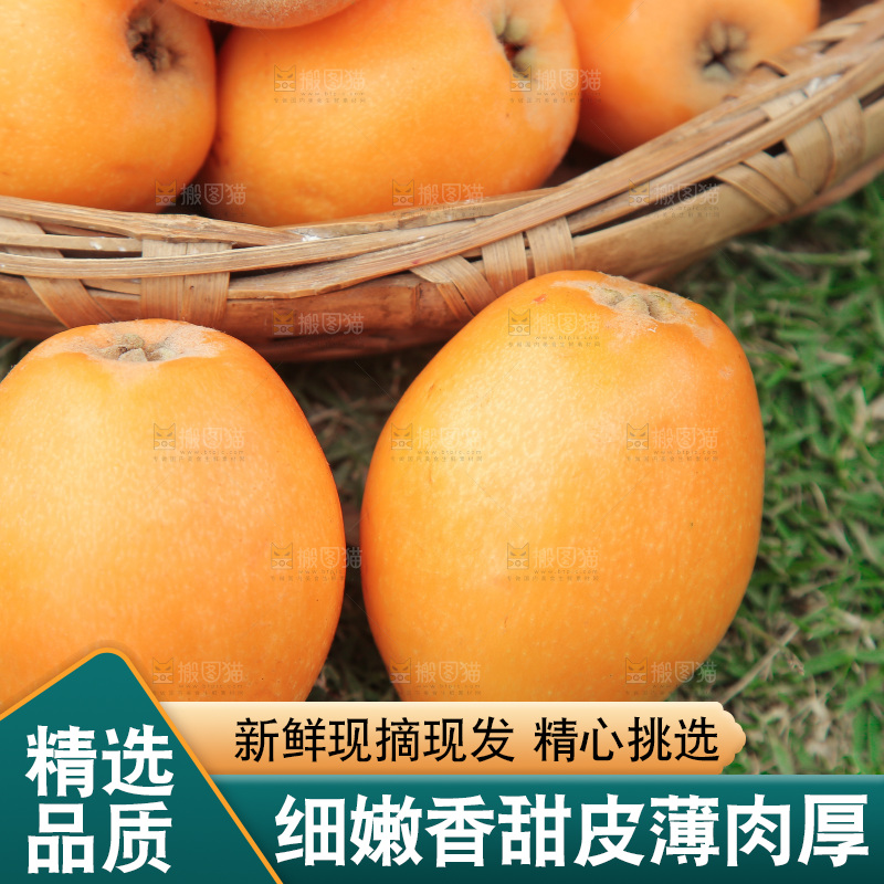草地上放着米易枇杷