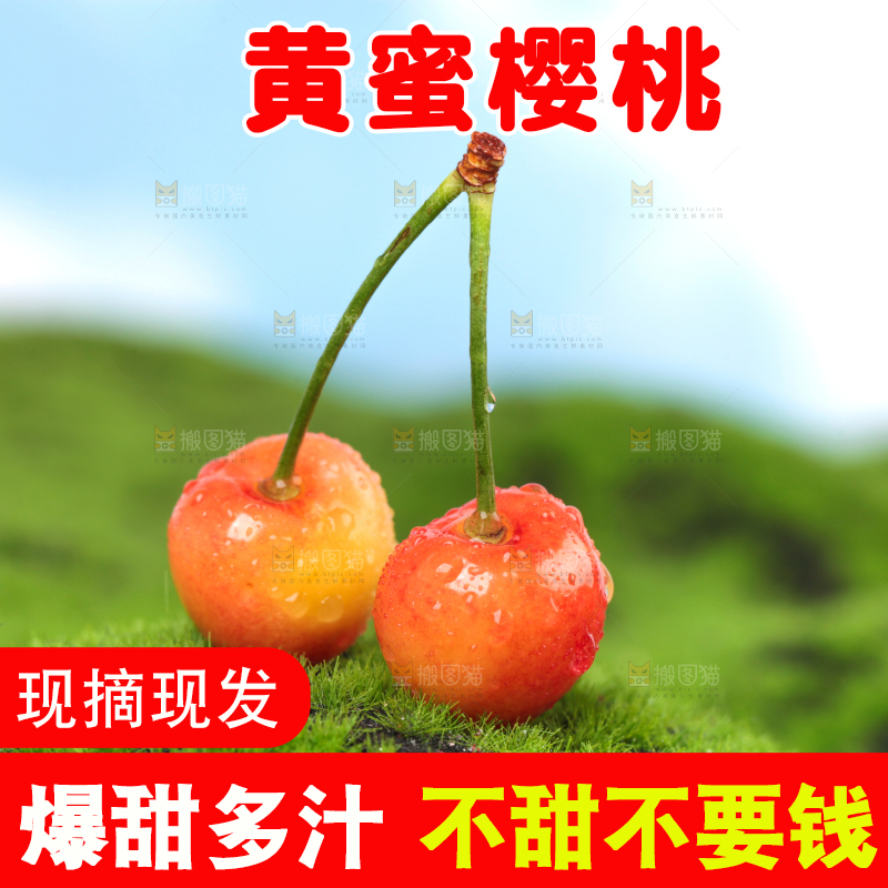 草地上的黄蜜樱桃