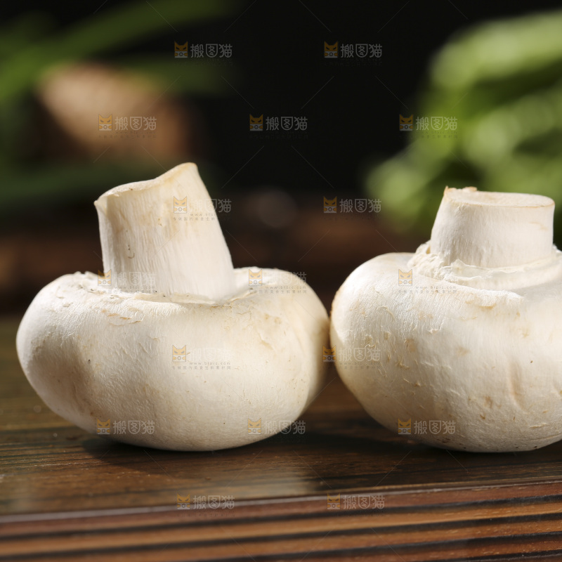 木底上的口蘑