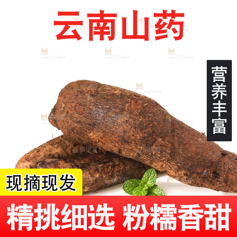 白底上的云南山药